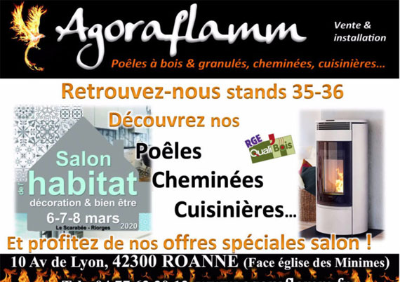 Cuisinières au bois Roanne et environs - Agoraflamm